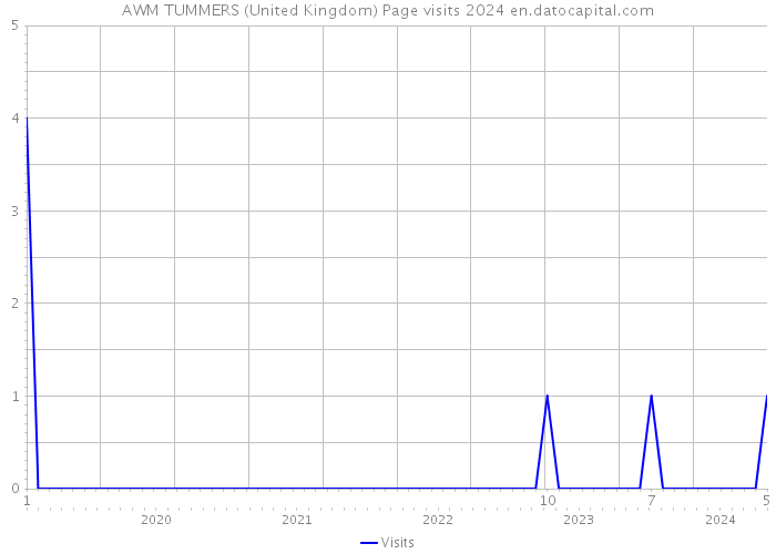 AWM TUMMERS (United Kingdom) Page visits 2024 