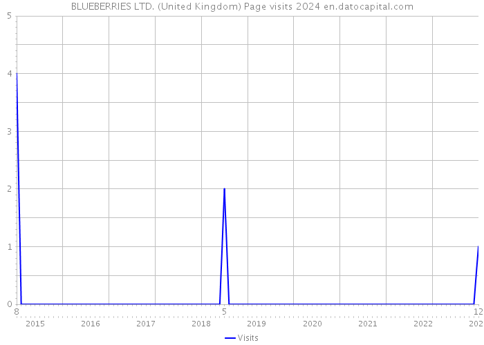 BLUEBERRIES LTD. (United Kingdom) Page visits 2024 