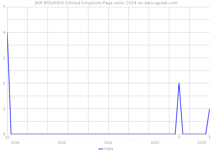 JAIR BOLANOS (United Kingdom) Page visits 2024 