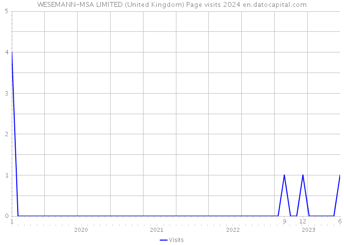 WESEMANN-MSA LIMITED (United Kingdom) Page visits 2024 