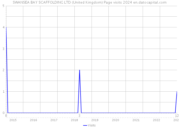 SWANSEA BAY SCAFFOLDING LTD (United Kingdom) Page visits 2024 