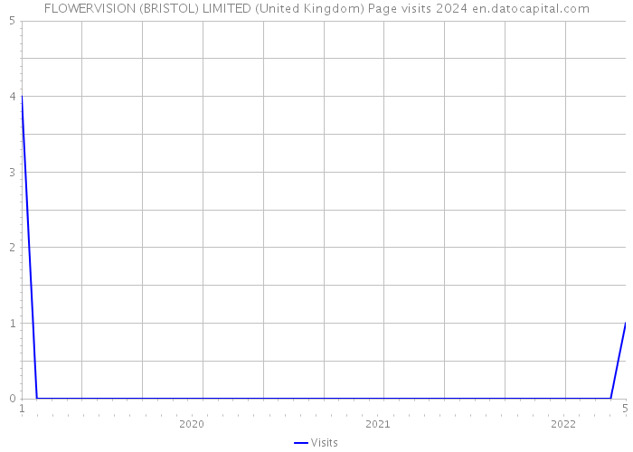 FLOWERVISION (BRISTOL) LIMITED (United Kingdom) Page visits 2024 