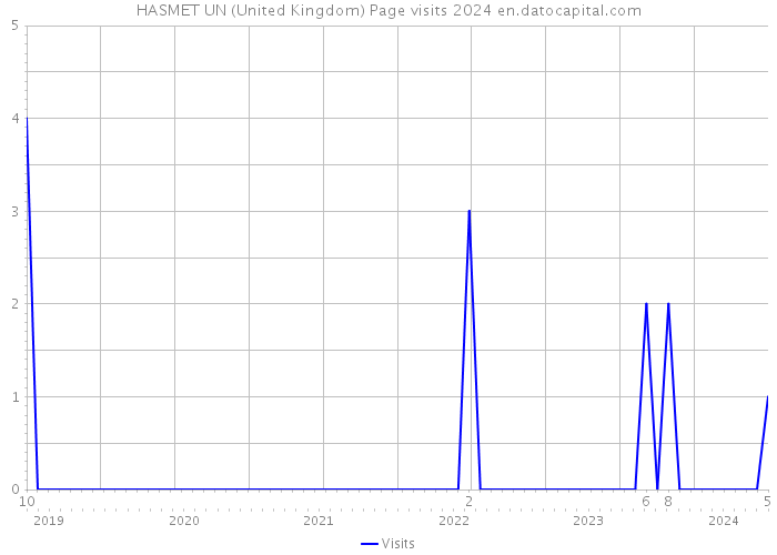 HASMET UN (United Kingdom) Page visits 2024 