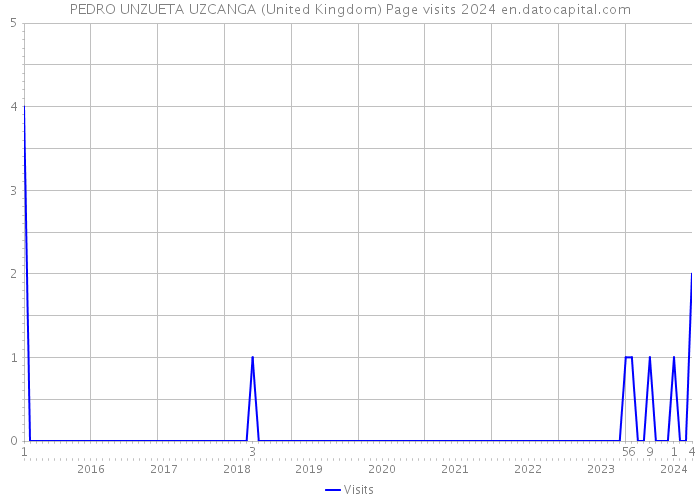 PEDRO UNZUETA UZCANGA (United Kingdom) Page visits 2024 
