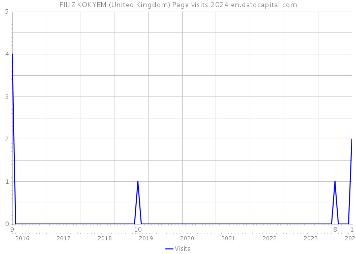 FILIZ KOKYEM (United Kingdom) Page visits 2024 