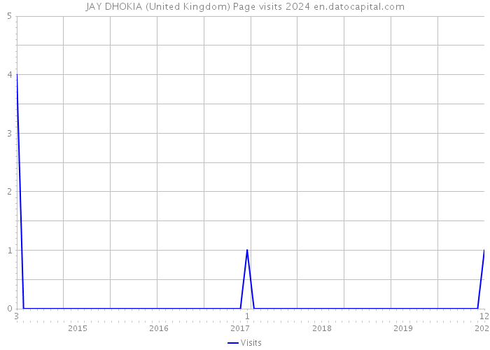 JAY DHOKIA (United Kingdom) Page visits 2024 