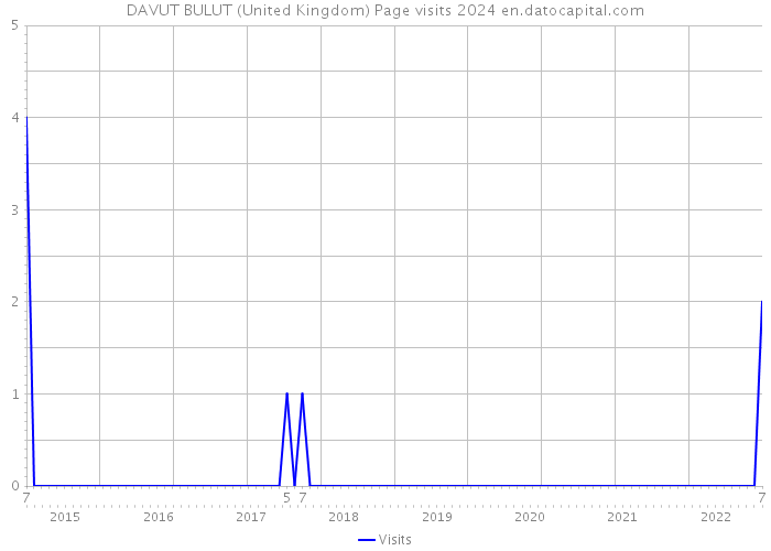 DAVUT BULUT (United Kingdom) Page visits 2024 
