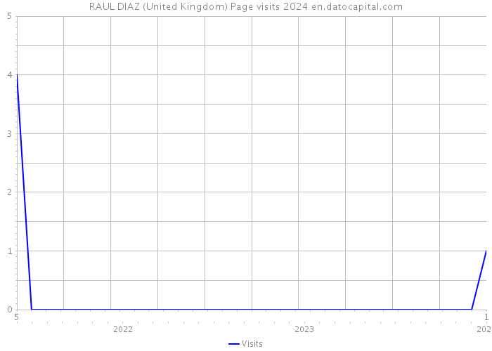 RAUL DIAZ (United Kingdom) Page visits 2024 