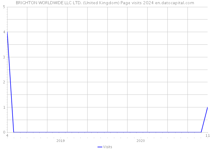 BRIGHTON WORLDWIDE LLC LTD. (United Kingdom) Page visits 2024 