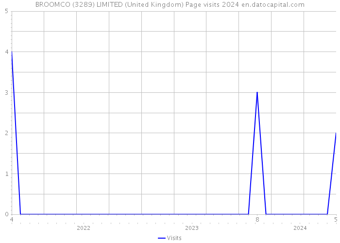 BROOMCO (3289) LIMITED (United Kingdom) Page visits 2024 
