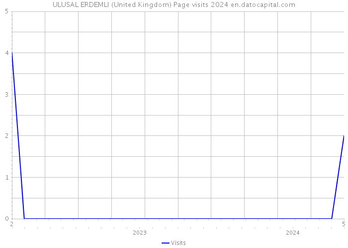 ULUSAL ERDEMLI (United Kingdom) Page visits 2024 