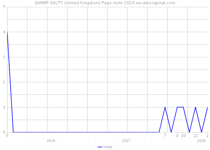 SAMER SALTY (United Kingdom) Page visits 2024 