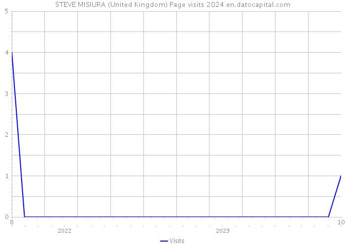 STEVE MISIURA (United Kingdom) Page visits 2024 