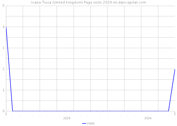 Ioana Tiuca (United Kingdom) Page visits 2024 