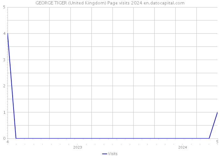 GEORGE TIGER (United Kingdom) Page visits 2024 