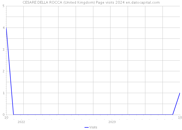 CESARE DELLA ROCCA (United Kingdom) Page visits 2024 