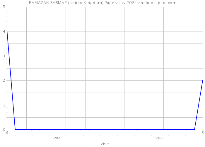 RAMAZAN SASMAZ (United Kingdom) Page visits 2024 