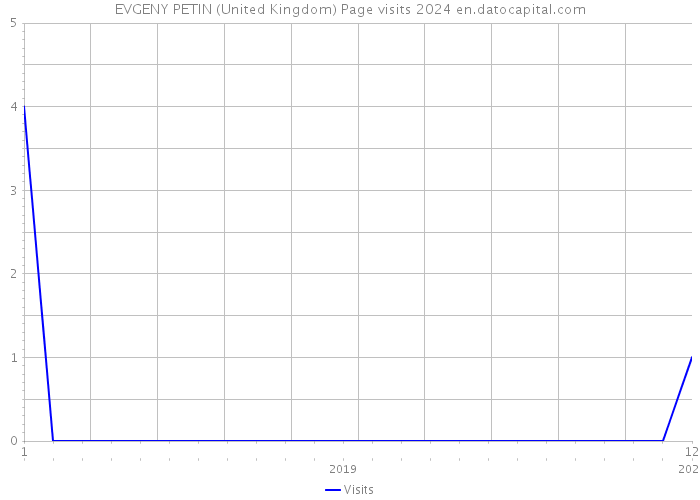 EVGENY PETIN (United Kingdom) Page visits 2024 