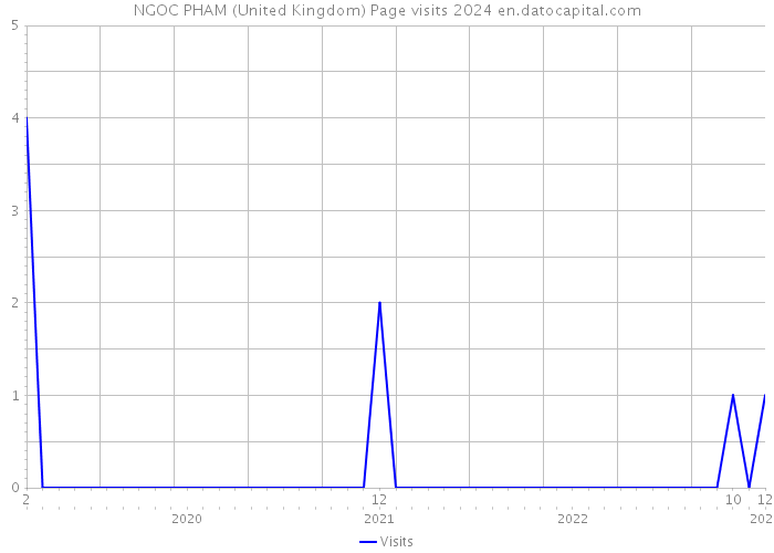 NGOC PHAM (United Kingdom) Page visits 2024 