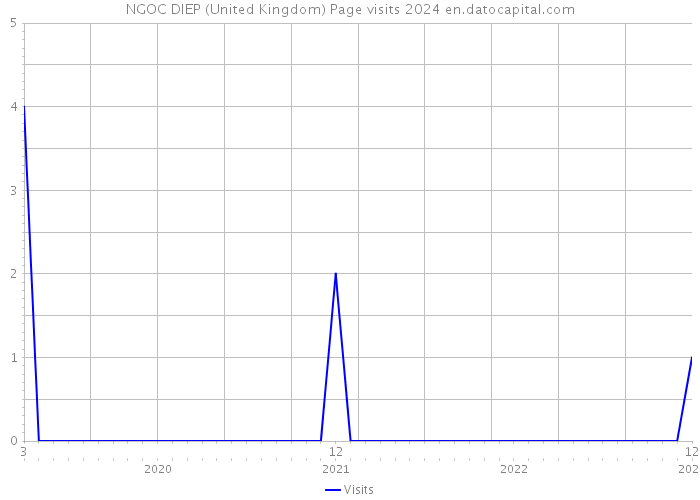 NGOC DIEP (United Kingdom) Page visits 2024 
