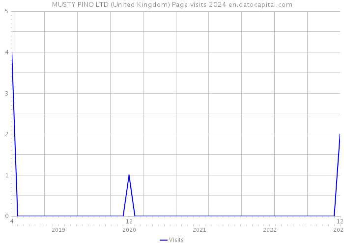 MUSTY PINO LTD (United Kingdom) Page visits 2024 