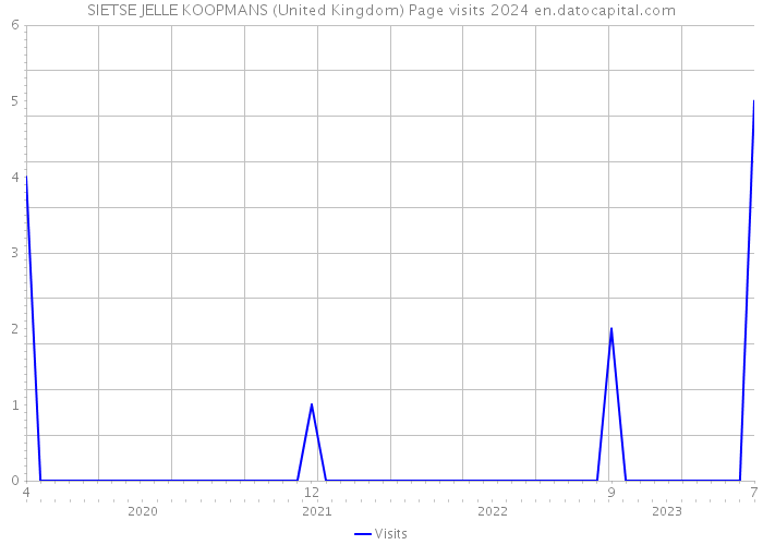 SIETSE JELLE KOOPMANS (United Kingdom) Page visits 2024 