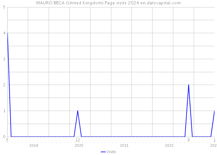 MAURO BECA (United Kingdom) Page visits 2024 