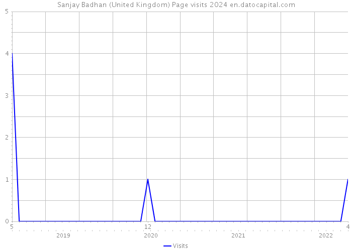 Sanjay Badhan (United Kingdom) Page visits 2024 