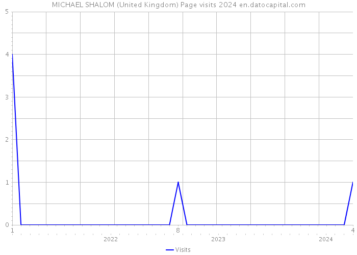 MICHAEL SHALOM (United Kingdom) Page visits 2024 
