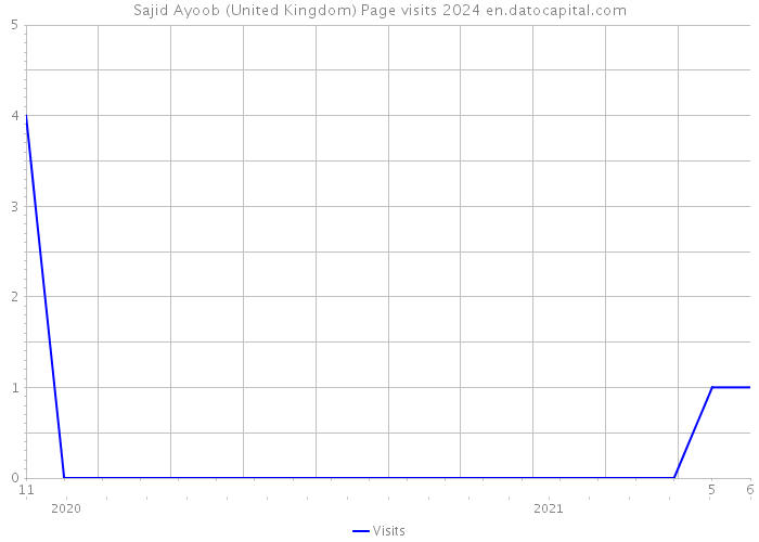 Sajid Ayoob (United Kingdom) Page visits 2024 