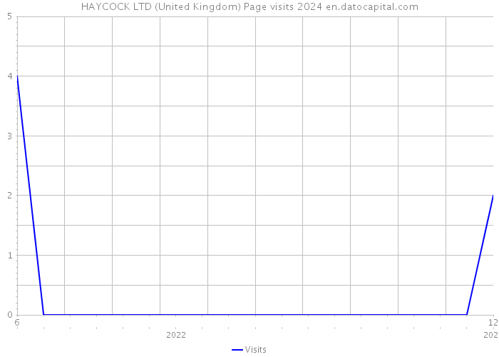 HAYCOCK LTD (United Kingdom) Page visits 2024 