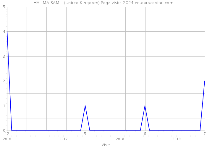 HALIMA SAMLI (United Kingdom) Page visits 2024 