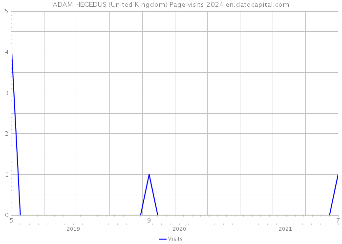 ADAM HEGEDUS (United Kingdom) Page visits 2024 
