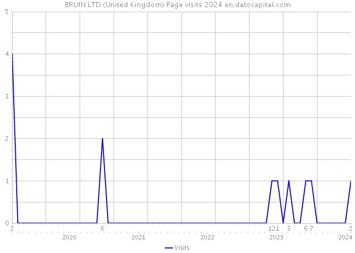 BRUIN LTD (United Kingdom) Page visits 2024 