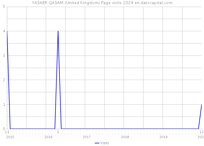 YASAER QASAM (United Kingdom) Page visits 2024 
