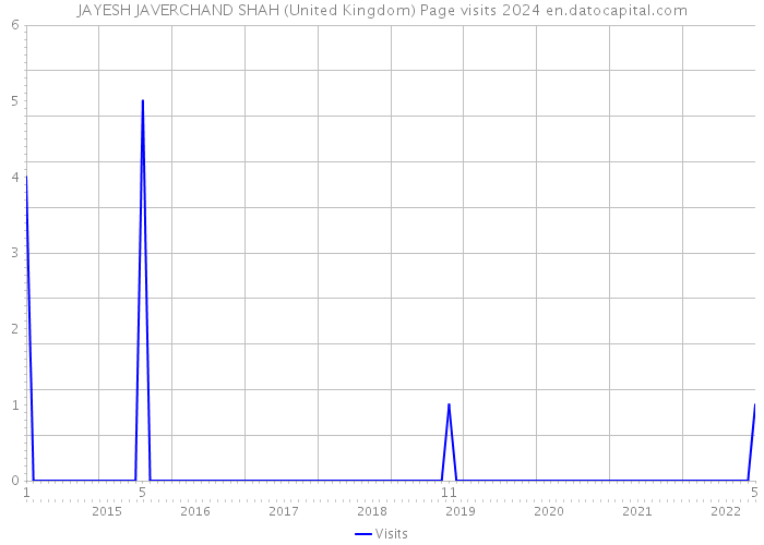 JAYESH JAVERCHAND SHAH (United Kingdom) Page visits 2024 