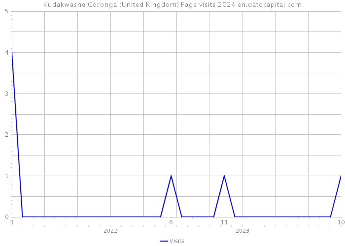Kudakwashe Goronga (United Kingdom) Page visits 2024 