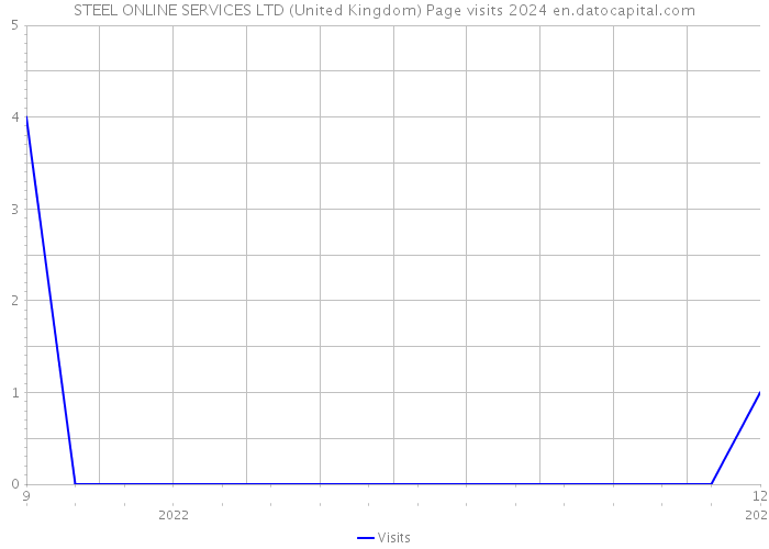 STEEL ONLINE SERVICES LTD (United Kingdom) Page visits 2024 