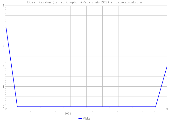 Dusan Kavalier (United Kingdom) Page visits 2024 