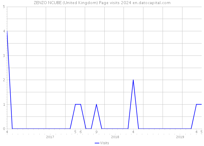 ZENZO NCUBE (United Kingdom) Page visits 2024 