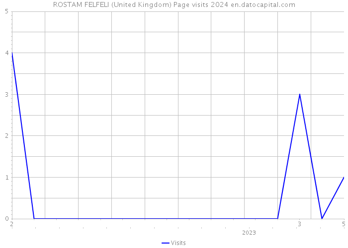 ROSTAM FELFELI (United Kingdom) Page visits 2024 