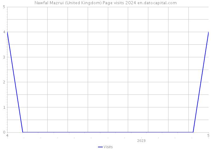 Nawfal Mazrui (United Kingdom) Page visits 2024 