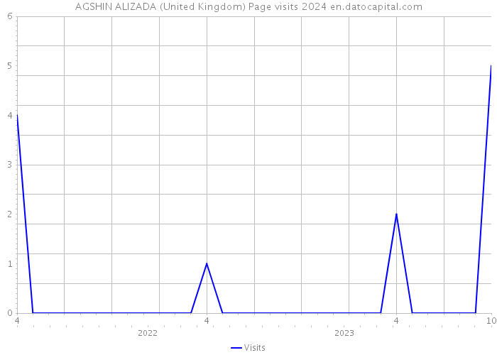 AGSHIN ALIZADA (United Kingdom) Page visits 2024 