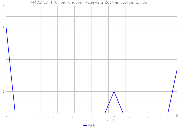 AMJAD BUTT (United Kingdom) Page visits 2024 
