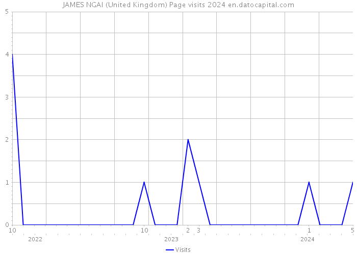 JAMES NGAI (United Kingdom) Page visits 2024 