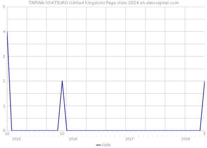 TAPIWA NYATSURO (United Kingdom) Page visits 2024 