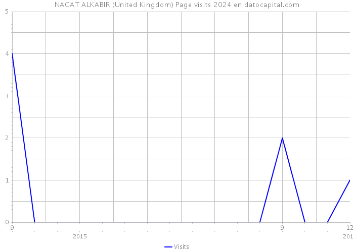 NAGAT ALKABIR (United Kingdom) Page visits 2024 