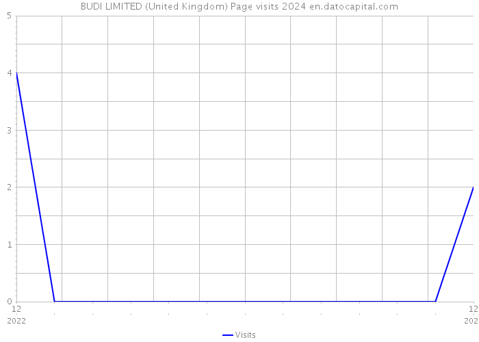 BUDI LIMITED (United Kingdom) Page visits 2024 