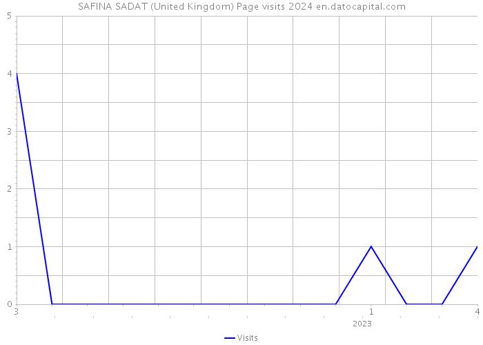 SAFINA SADAT (United Kingdom) Page visits 2024 