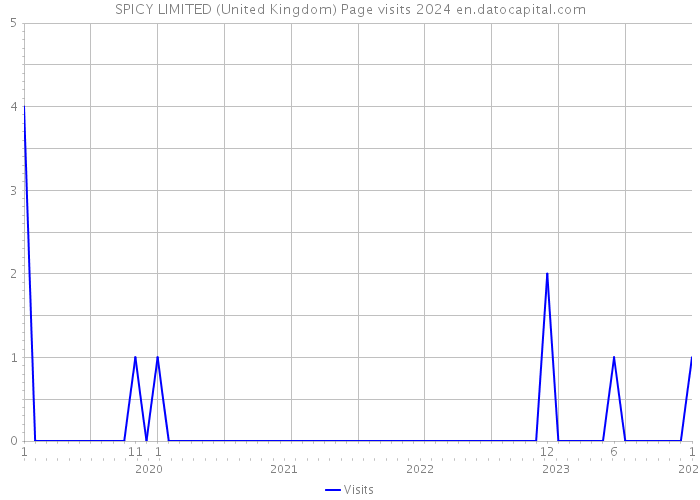 SPICY LIMITED (United Kingdom) Page visits 2024 